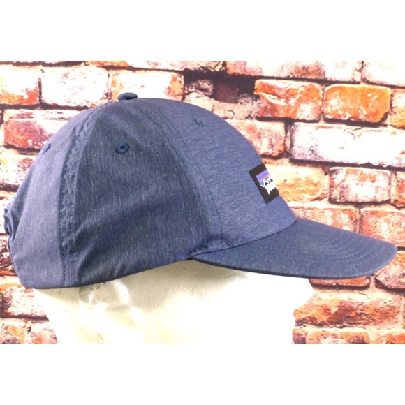 Patagonia Spellout Logo Netplus Blue Adjustable Snapback Hat - Picture 2 of 10